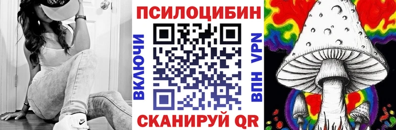 как найти   Окуловка  Псилоцибиновые грибы Psilocybe 